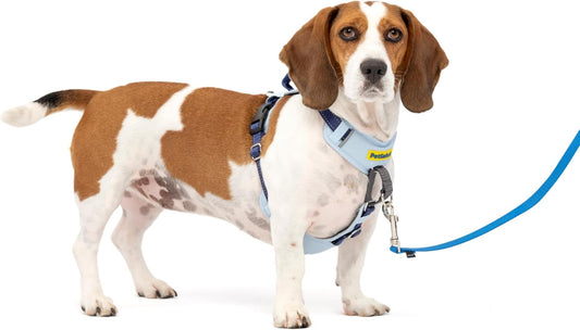 PetSafe Easy Walk Comfort No-Pull Dog Harness Full-Body Padding - Better Walks on The First Use - 5 Points of Adjustment , Blue