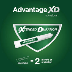 Advantage XD Cat Flea Prevention & Treatment For Cats | 2-Topical Doses, 2-Months of Protection Per Dose