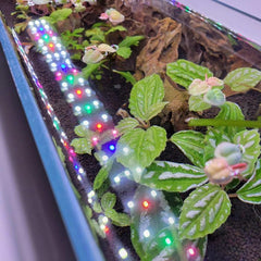 Lifegard Aquatics R800208 High Output 10" Nano LED Plant Light