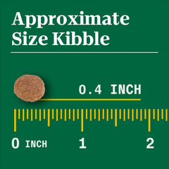 Nutro Natural Choice Puppy Dry Dog Food, Chicken and Brown Rice Recipe, 13 lbs