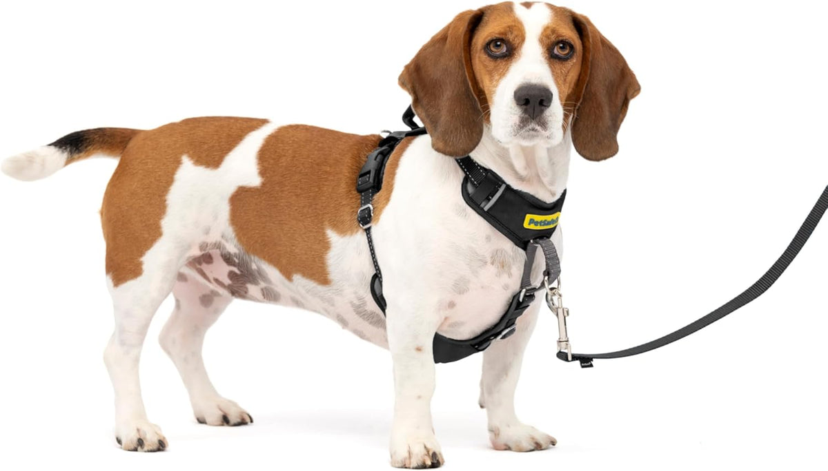 PetSafe Easy Walk Comfort No-Pull Dog Harness Full-Body Padding - Better Walks on The First Use - 5 Points of Adjustment , Black