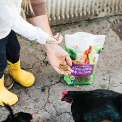 Manna Pro Mealworm Munchies, 10 oz