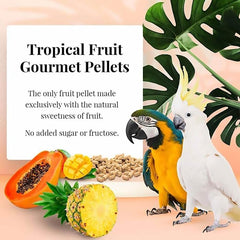 LAFEBER'S Tropical Fruit Gourmet Pellets Pet Bird Food, No Added Sugar, Made with Non-GMO and Human-Grade Ingredients, for Macaws and Cockatoos