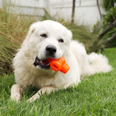 BIONIC Treat Star Dog Toy - High-Visibility Treat Dispenser, Great for Keeping Dogs Busy