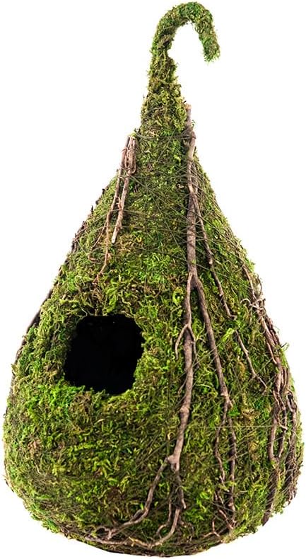 Galápagos SuperMoss (56026) Raindrop Birdhouse, 6 by 10-Inch, Fresh Green