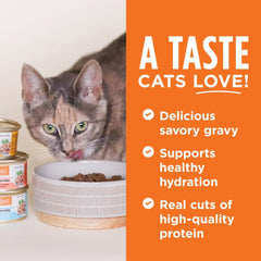 Instinct Flaked Entrée Wet Canned Cat Food - Salmon