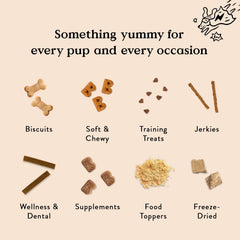 Bocce's Bakery Oven Baked Quack, Quack Treats for Dogs, Everyday Wheat-Free Dog Treats, Made with Real Ingredients, in The USA, All-Natural Duck & Blueberry Biscuits, 5 oz