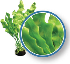 Freshwater Pro Series Amazon Ruffled Sword Ornament, 12"