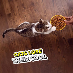 Whiskas Temptations Seafood Medley Cat Food 13.5 lb