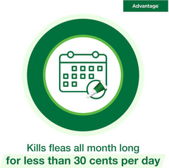 Advantage™ for Small Cats – 2-Month Supply