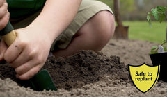 Compare-N-Save® Glyphosate Concentrate Grass & Weed Killer – 32 oz