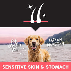 Ultimates Sensitive with Salmon Protein Dry Dog Food – 28 lb