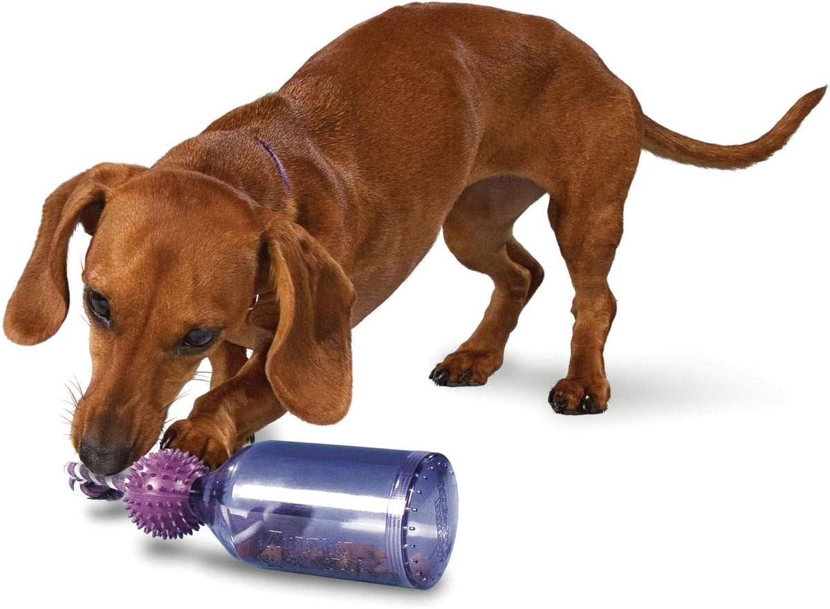 PetSafe Busy Buddy Tug-A-Jug - Treat-Dispensing Dog Toy - Slow Down Eating - 2 Cup Capacity - Lower Separation Anxiety - Cleans Teeth - Easy to Wash - Multi-Sensory Stimulation - Purple