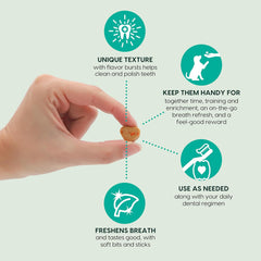 ARK NATURALS Breath Bursts Brushless Toothpaste Dog Treats, Dog Dental Bits for Small Breeds, Unique Texture Helps Clean Teeth & Freshen Breath, Cinnamon