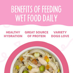 Weruva Meals 'n More Natural Wet Dog Food, Belly Belly Nice! Digestive Support Variety Pack(Pack of 10)