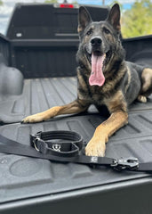 Operation Good Boy Tactical Collar (Black) - Durable & Strong - Includes Quick Release Buckle and Military Grade Handle - Veteran Owned and Operated