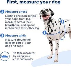 PetSafe Easy Walk No-Pull Dog Harness - The Ultimate Harness to Help Stop Pulling - Take Control & Teach Better Leash Manners - Helps Prevent Pets Pulling on Walks, Medium