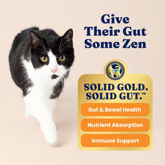 Solid Gold High Protein Dry Cat Food - Grain Free & Gluten Free Chicken Cat Dry Food w/Probiotics for Gut Health & Digestion - High Fiber & Omega 3 - Low Carb Superfood Kibble for Cats All Ages