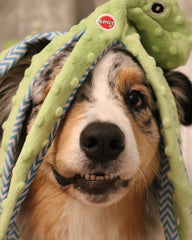 Skinneeez Extreme Stuffless Dog Toy with Squeaker | Extra Strong Plush Tug of War Octopus Squeak Toy for Small and Large Dog Breeds