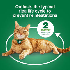 Advantage XD Cat Flea Prevention & Treatment For Cats | 2-Topical Doses, 2-Months of Protection Per Dose