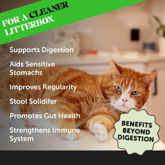 Pet Honesty Digestive Probiotic Powder Supplement for Cats - Digestive Support + Gut Health, Probiotic for Cats, Cat Constipation Relief, Bowel Support, Immunity & Overall Health - 120 Scoops