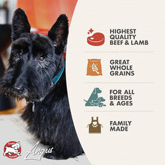 Fromm Four-Star Nutritionals Highlander Beef, Oats, & Barley Dog Food - Premium Dry Dog Food - Beef Recipe