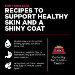 Go! Solutions Skin + Coat Care, Dry Dog Food, Lamb Recipe with Grains