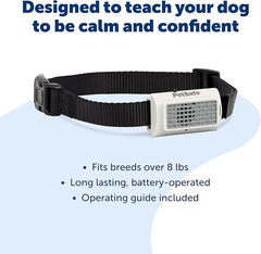 PetSafe Ultrasonic Dog Bark Training Collar for Large and Small Dogs - Static-Free Correction