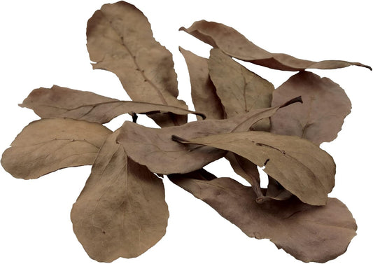 Fluval Betta Tropical Almond Leaves Aquarium Decor, 10-Pack