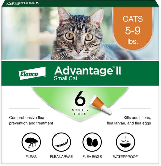 Elanco Advantage Cat Vet-Recommended Flea Treatment & Prevention | 6-Month Supply
