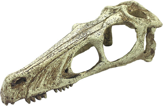 Komodo Reptile Terrarium Realistic Skulls Ornament Decor | Easy to Clean Under Water Aquarium or Dry Habitat Decoration Accessories (Large, Raptor)