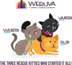 Weruva Wet Cat Food, Love Connection with Chicken and Salmon Pate (Pack of 12)