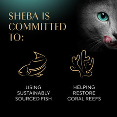 Sheba Wet Food Sheba Perfect Portions Wet Cat Food Cuts in Gravy Gourmet Salmon Entree 2.6-oz