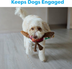 SPOT Bird Calls Plush Dog Toy with Realistic Bird Sound – 12" Sound Chip Toy for Dogs, One of Three Assorted Styles, Engaging Indoor Play for All Breeds