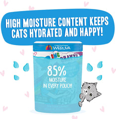 Weruva B.F.F. OMG - Best Feline Friend Oh My Gravy! Tuna & Chicken Charm Me with Tuna & Chicken in Gravy Cat Food