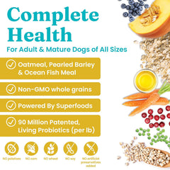Solid Gold Dry Dog Food for Adult & Senior Dogs - Made with Oatmeal, Pearled Barley, and Fish Meal - Holistique Blendz Potato Free High Fiber Dog Food for Sensitive Stomach & Immune Support 24-lb