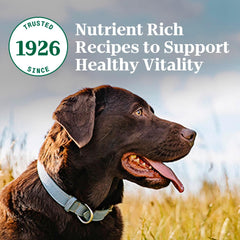 Nutro Natural Choice Adult Dry Dog Food, Lamb and Brown Rice Recipe,