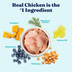 Click to see full view       3+ Solid Gold Toy & Small Breed Dry Dog Food Small Bites – Real Chicken, Grain Free Gluten Free, High Fiber Healthy Kibble w/Probiotics for Gut Health & Digestion Support– All Ages – NutrientBoost™
