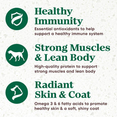 Nutro Ultra Adult Dry Dog Food with a Trio of Proteins from Chicken, Lamb and Salmon, 4 lb Bag