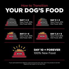 Go! Solutions Skin + Coat Care, Dry Dog Food, Lamb Recipe with Grains