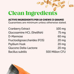 Cat Urinary Tract Health Crunchy & Creamy Chews - Promotes Healthy Digestion & Normal Bladder Function with Cranberry, Antioxidants, & Probiotics - Kidney + Bladder Support Supplement (30 Day Supply)