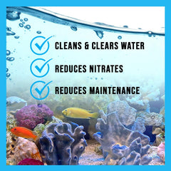 Microbe Lift Special Blend Aqua Water Conditioners for Aquarium