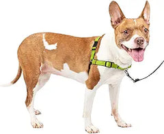 PetSafe Easy Walk Deluxe Dog Harness, No Pull Dog Harness – Perfect for Leash & Harness Training – Stops Pets from Pulling and Choking on Walks – Medium