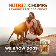 NutriChomps Dog Chews, 6-inch Braids, Easy to Digest, Rawhide-Free Dog Treats, Healthy, 4 Count, Real Peanut Butter Flavor