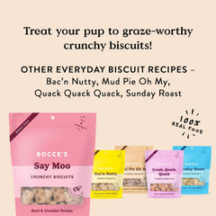 Bocce's Bakery Oven Baked Say Moo Treats for Dogs, Everyday Wheat-Free Dog Treats, Made with Real Ingredients, Baked in The USA, All-Natural Beef & Cheddar Biscuits, 5 oz