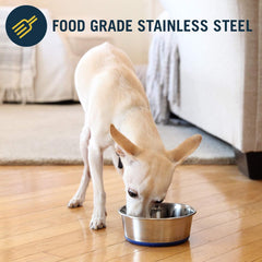 OurPet's DuraPet Premium Dishwasher Safe Stainless Steel Dog Bowl for Food or Water [Multiple Sizes for Small to Large Dogs] in Traditional or Wide Base Design