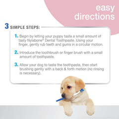 Nylabone Advanced Oral Care Puppy Dental Kit Puppy