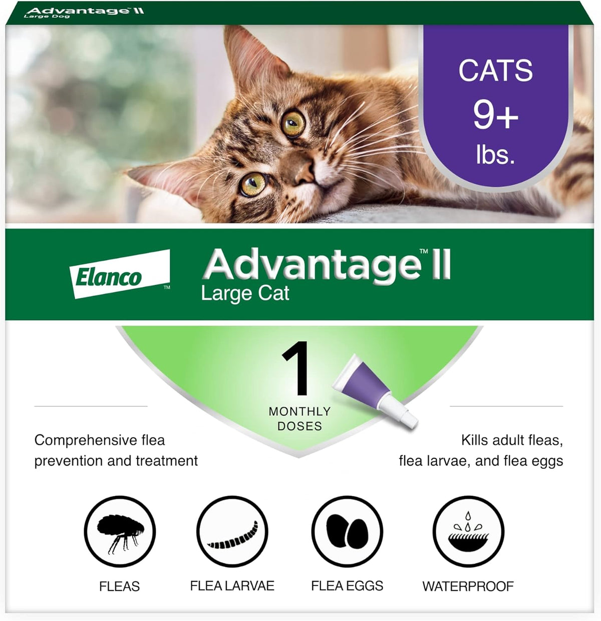 Elanco Advantage II Cat Vet-Recommended Flea Treatment & Prevention | 1-Month Supply