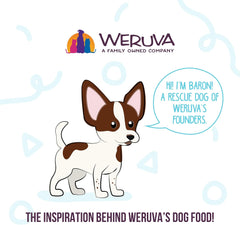Weruva Meals 'n More Natural Wet Dog Food, Paw Lickin’ Chicken Plus Skin & Coat Health (Pack of 12)