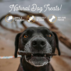 Beg & Barker Beef Liver Jerky for Dogs - Dog Training Treats - Natural Dog Treats Made in The USA - Grain Free, Diabetic-Friendly, High Protein, Sugar-Free